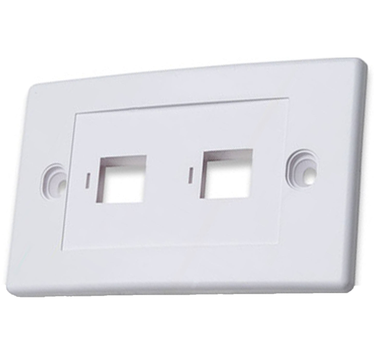 Placca a Muro 2 Posti Bianca Compatibile Modulo 503