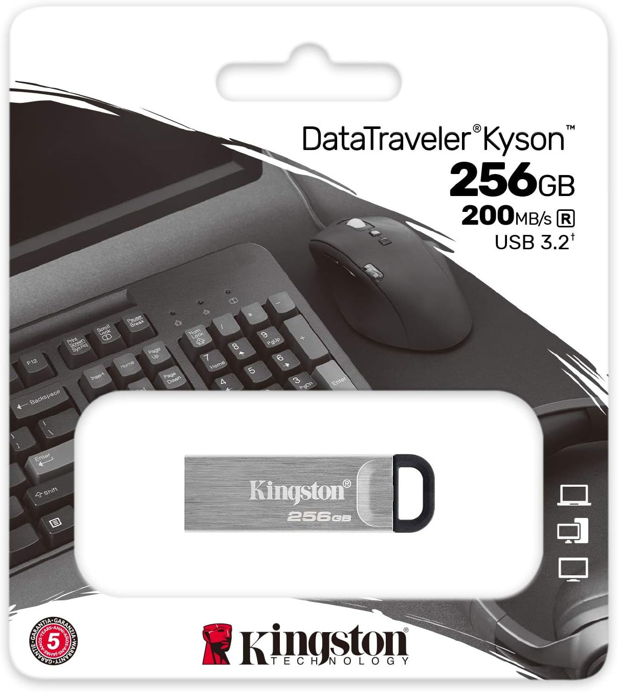 Kingston 256GB Pendrive USB 3.2 Gen 1 Memoria Portatile Alta Velocità - Nuova